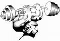 Click for a fun, short weightlifting video. (Watch until the end!)
